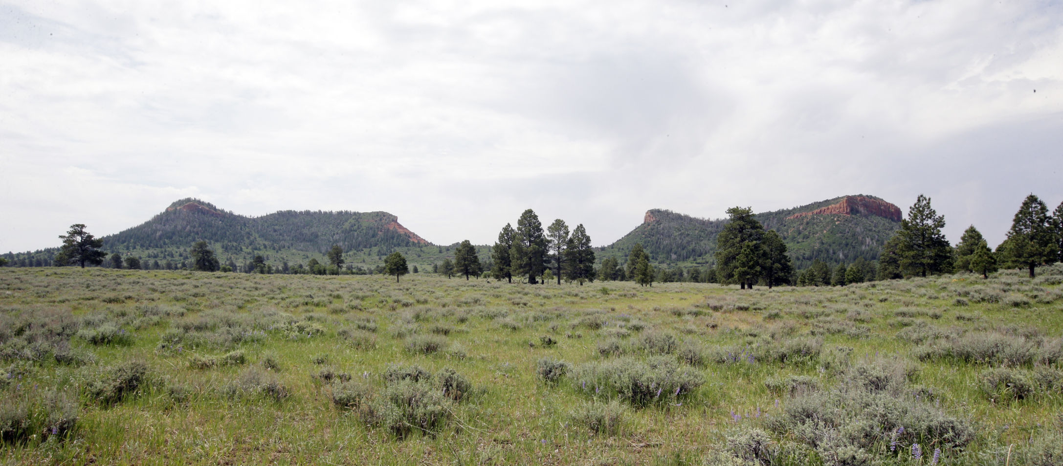 National Monument Utah